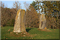 Druidsfield Standing Stones (3)