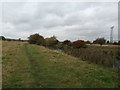 Path by the River Rother