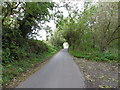 Osier Road near Teynham