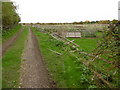 Track out to Luddenham Marshes