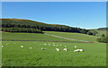 Border Farmland View