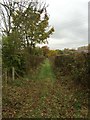 SJ8246 : Silverdale: track between allotments by Jonathan Hutchins