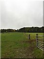 SJ8245 : Silverdale: field path by Jonathan Hutchins