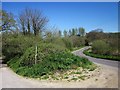 B3165 and its former route, Halscombe