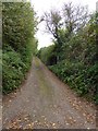 Track to Ludwell Farm, from Ludwell Lane, Exeter