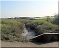 Ramper Pot at Low Tide