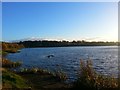 Frankfield Loch