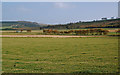 NS9140 : Shaws Farmland View by Mary and Angus Hogg