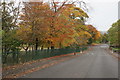 Autumn colours, Caldercuilt Road