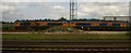TF1800 : GBRf locomotives, Peterborough depot by Christopher Hilton