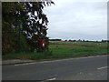TL5198 : Bus stop and post box on the A1101 by JThomas