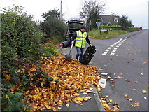 H3374 : Collecting fallen leaves, Drumnaforbe by Kenneth  Allen