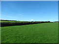 Grazing land on the west side of the B27