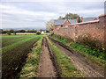 Up Holland, Track at the Side of the Carmelite Convent