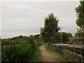 Path alongside Lawns Lane