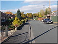 Woodford Drive - looking towards Albany Road