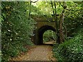 Harborne Walkway, Woodbourne Road Bridge