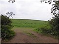 Field east of Appledore