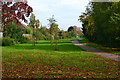 Green pathway at The Avenue