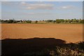 Arable land near Goldwick Farm