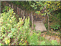 Footbridge over a small stream