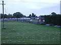 Grazing near Long Sutton