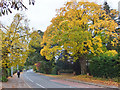 Molescroft Road, Beverley, Yorkshire