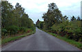NM9136 : Minor road across Moss of Achnacree by Peter Bond