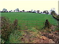 Edenacrannon Townland