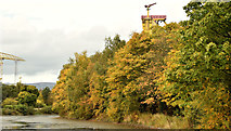 J3675 : Autumn trees, Victoria Park, Belfast (October 2015) by Albert Bridge
