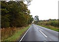 A159 on the left Laughton Woods