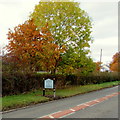 Welcome to Welshpool - Gateway to Wales