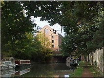 SP7253 : Bridge number 51 of the Grand Union Canal and Blisworth Mill by Tim Glover