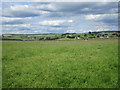 Fields near Tundergarth Church