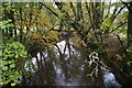 River Lew from Lewer bridge