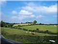 Pastoral farming in the Moneycarragh River valley