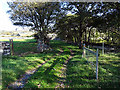 Farm track leading to Tal-y-bont