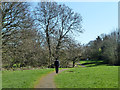 Path, Brookside Walk