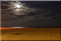 TG5307 : Beach by moonlight by David P Howard