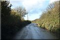 Damp lane by Hollacombe Farm