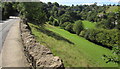 Valley below Brimscombe Hill, Burleigh