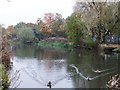 Beverley Beck, Beverley, Yorkshire