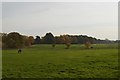 SJ8164 : Somerford Park Farm by Jonathan Hutchins