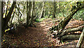 Dry ditch beside footpath