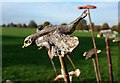 ST5775 : Ceramic bird, Durdham Down by Derek Harper