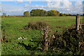 Pasture off Dalton Lane