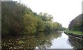 Autumn on the Selby Canal