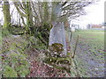 Field Edge view at Castle Field Triangulation Pillar