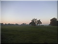 Field by Perrotts Farm, Kingswood