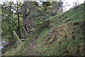 South Tyne Trail towards Windshaw Bridge